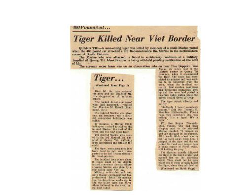 News report of a tiger attack on a Marine recon team in Vietnam