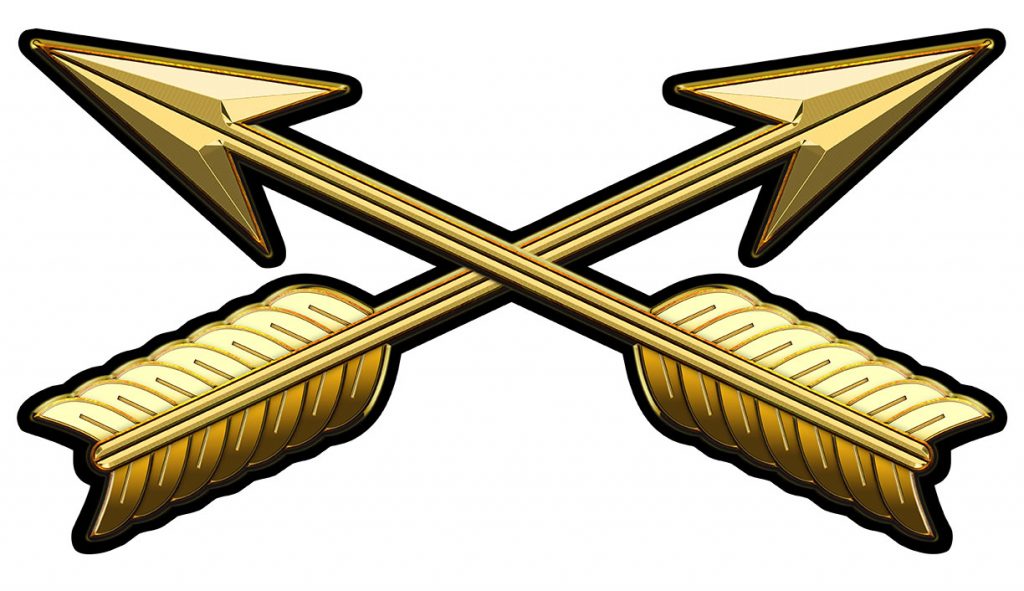 Special Forces Branch Insignia Metal Sign 17 x 9″ – MACV-SOG