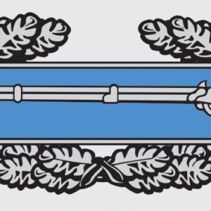 Mylar Decal - Combat Infantry Badge 4.625 x 1.875