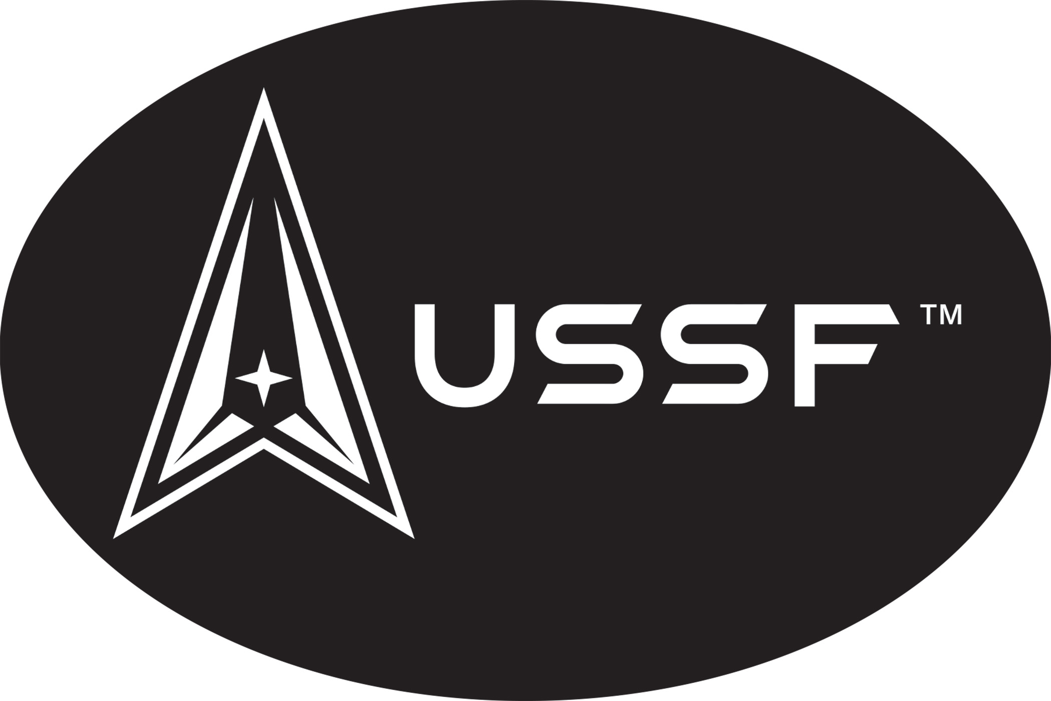 Sticker - United States Space Force Oval Sticker - United States Space Force Oval