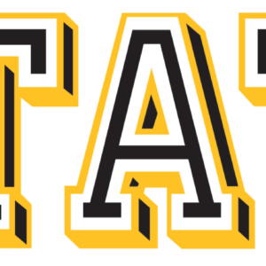 Mylar Decal - United States Army in Black Gold and White Window Strip
