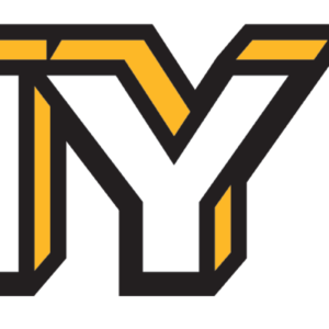 Mylar Decal - Army Retired in White Gold and Black 13 x 2.25 Window Strip